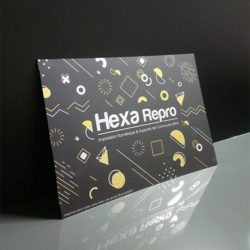 Hexa Repro