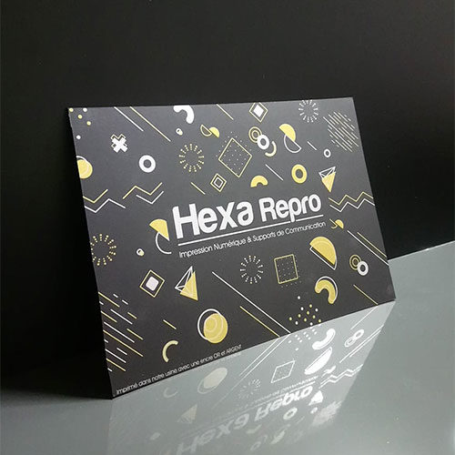 Hexa Repro